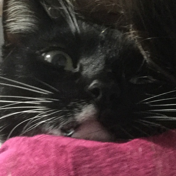 Meet your Posher, Ashley - Picture 1 of 1